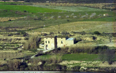 Lo molí de farina del convent