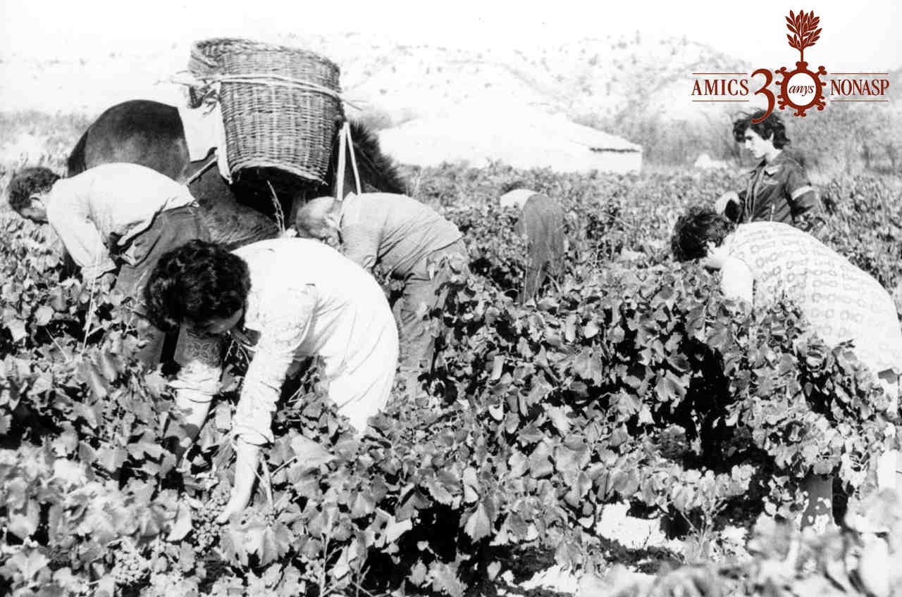01 – Octubre 1979. Autor, Andrés Llop………. De sol a sol