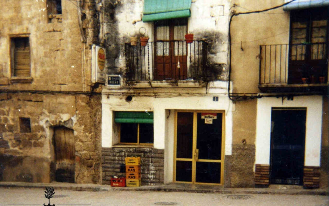 La mula que va caure dins d’un canyo